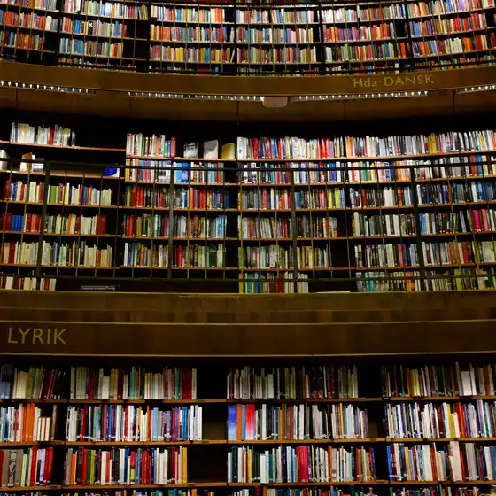 Bibliothèque publique de Stockholm — Rotonde